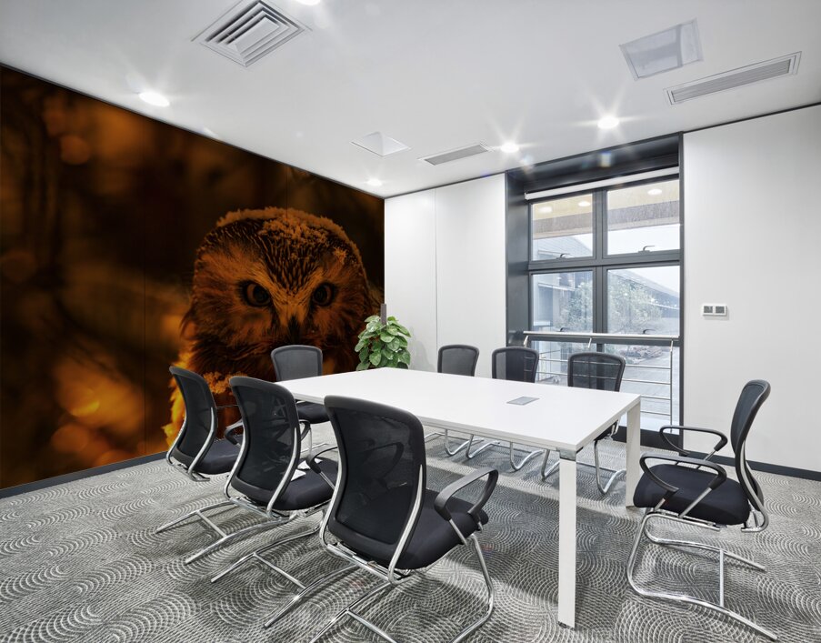 Saw Whet Owl 4 Wall Printing