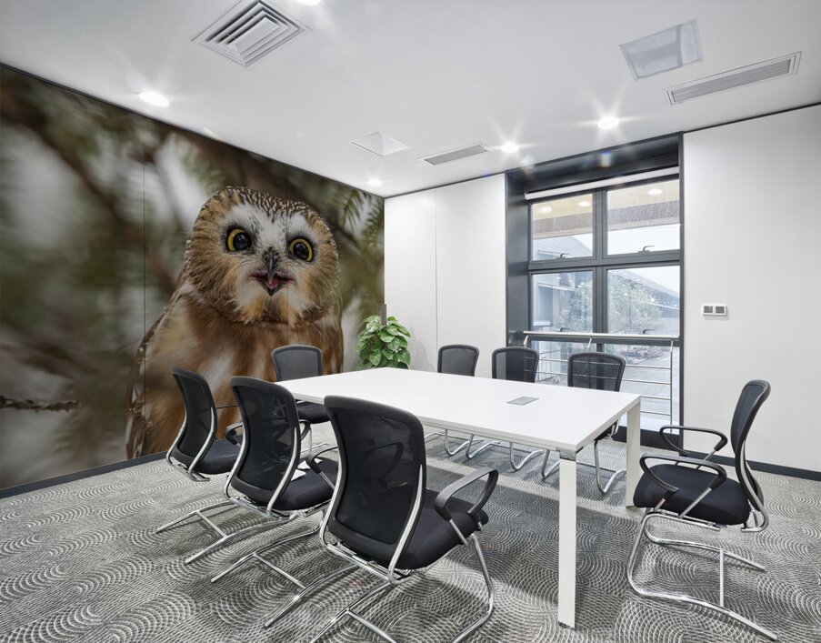 Saw Whet Owl 5 Wall Printing