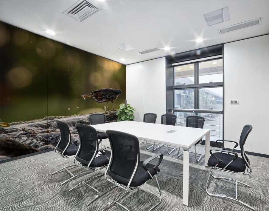 Green Heron Sunset Wall Printing