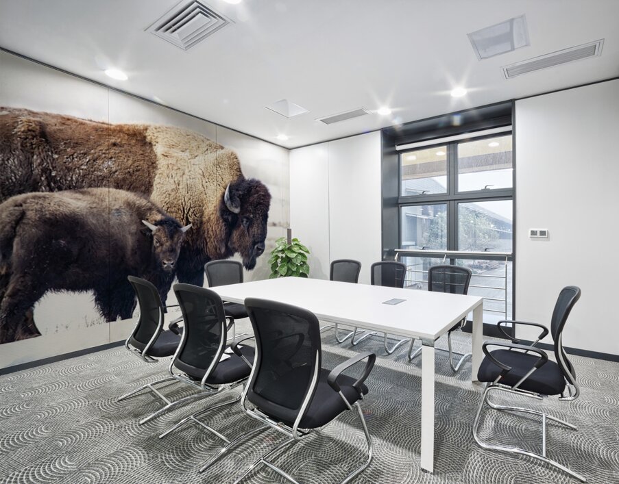 Bison Mom and Cub Wall Printing