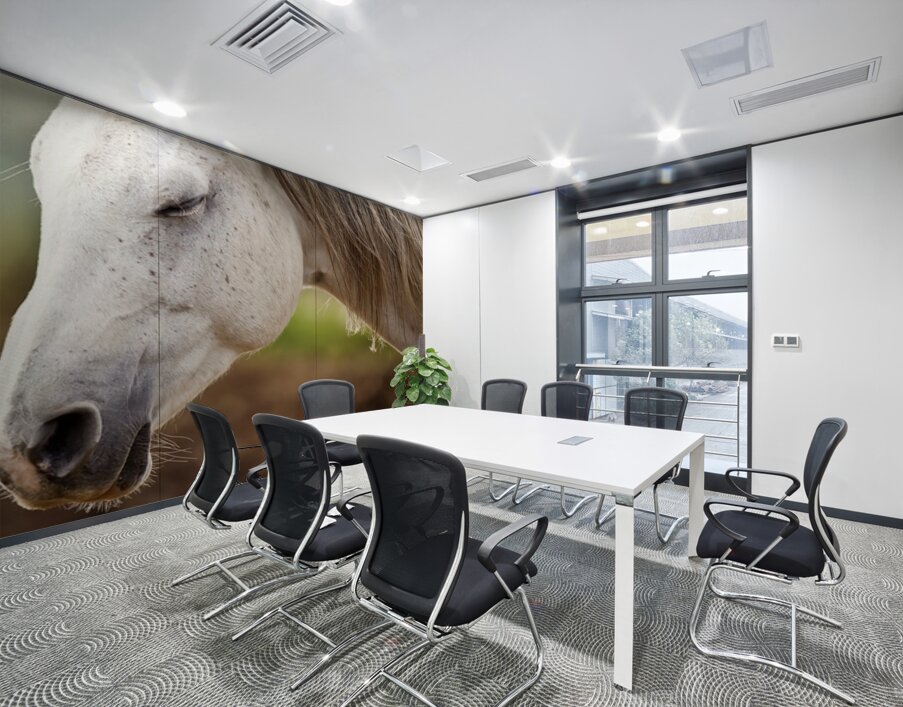 Horse Portrait 2 Wall Printing