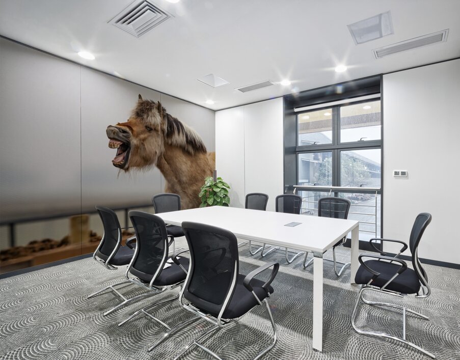 Horse Smile Wall Printing