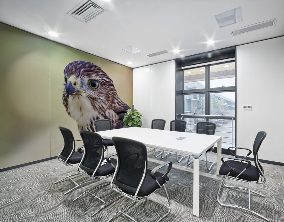 Coopers Hawk Wall Printing