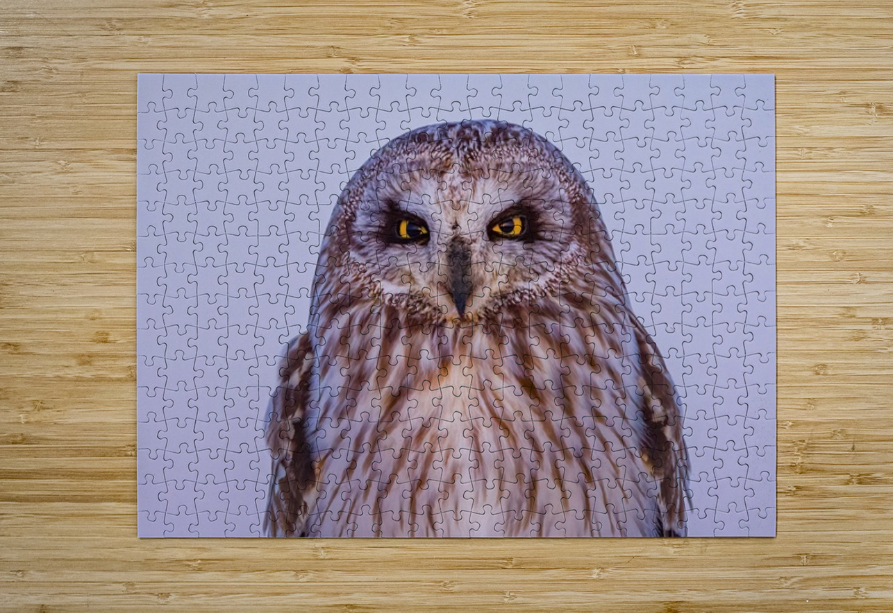 SEO Sunset Ilana Vargulich Puzzle printing