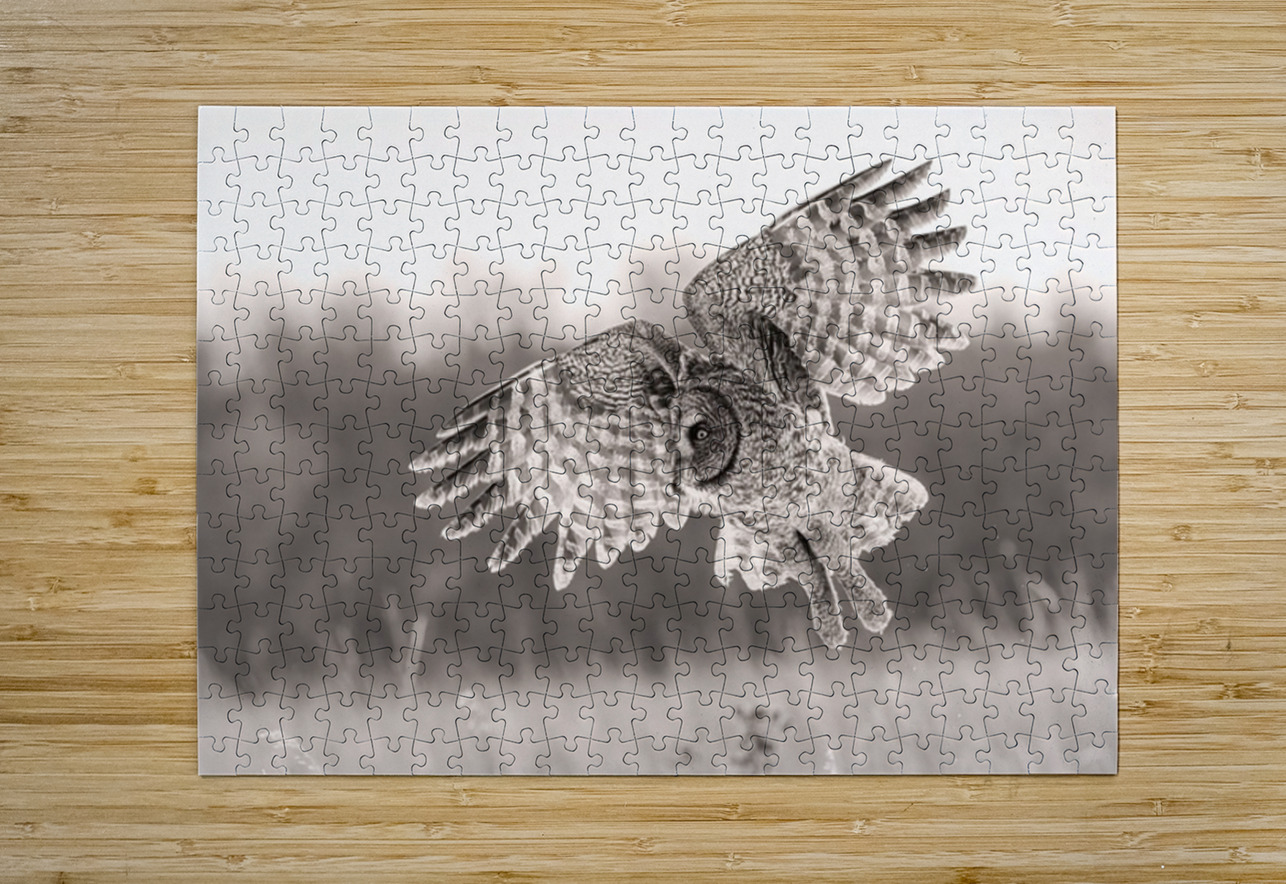 GGO Ilana Vargulich Puzzle printing