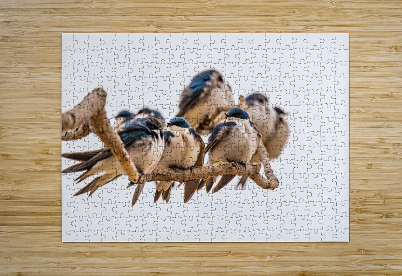 Gathering Ilana Vargulich Puzzle printing