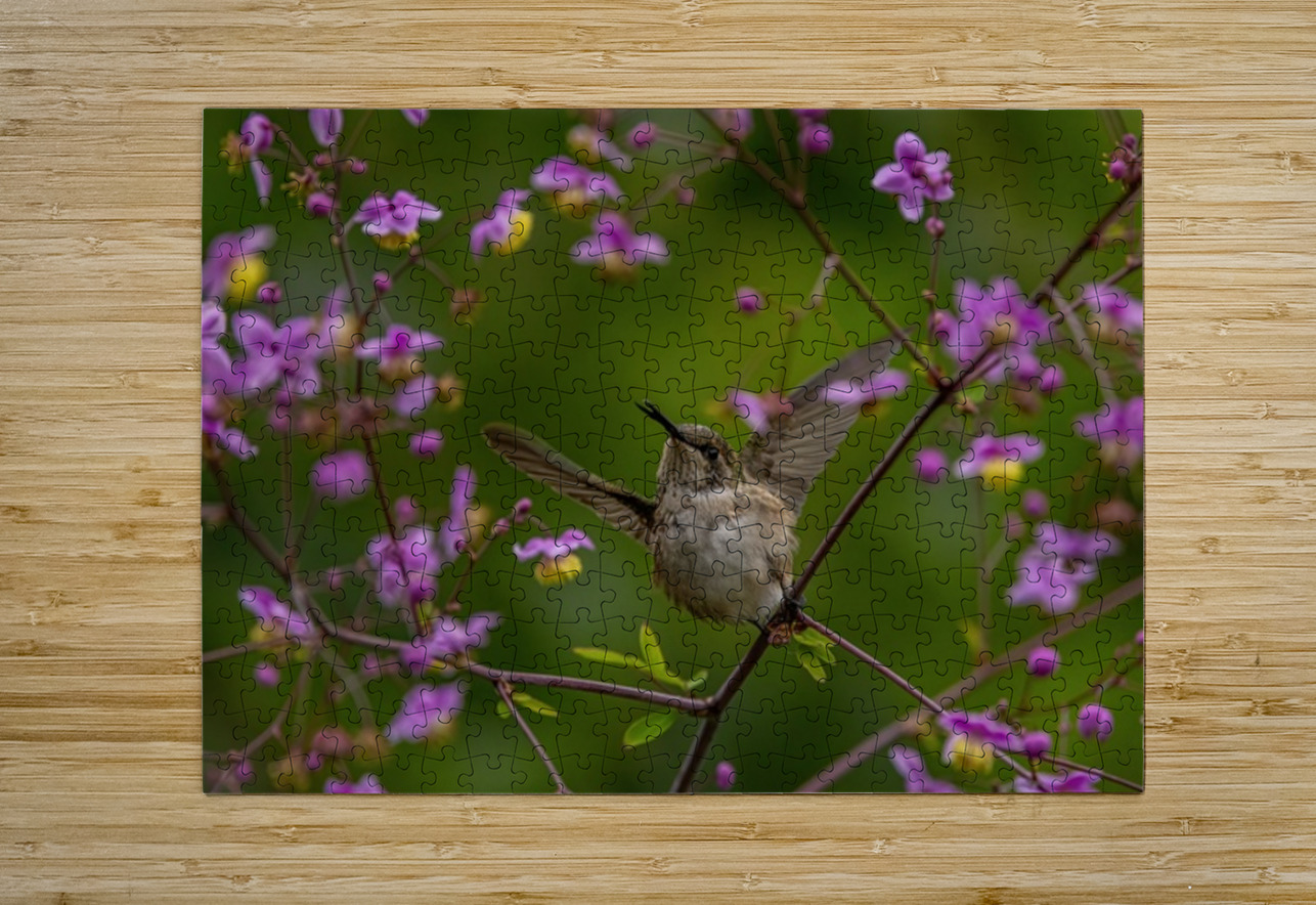 Hummingbird in Flower Frame Ilana Vargulich Puzzle printing