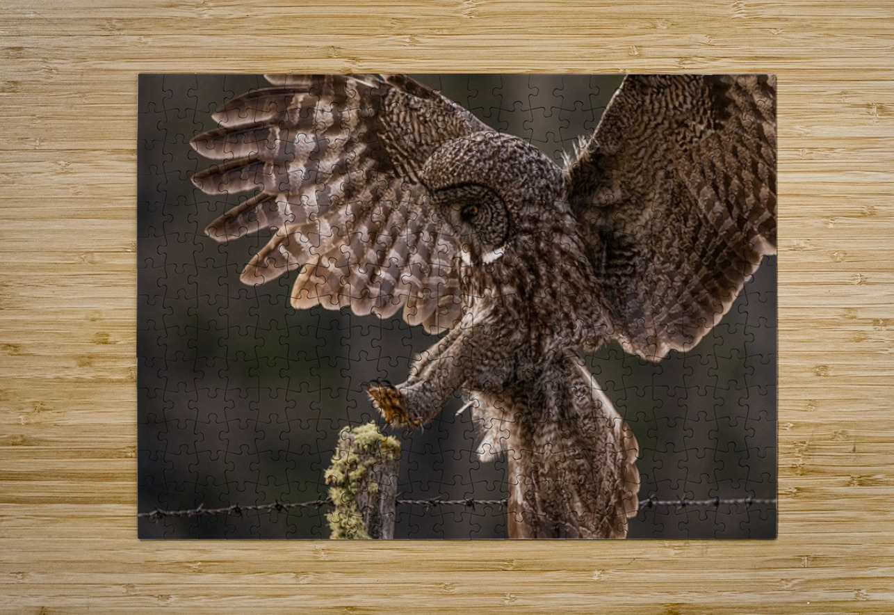 GGO 2 Ilana Vargulich Puzzle printing