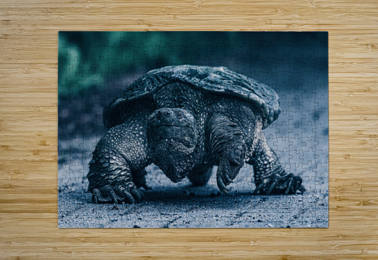 Dino Ilana Vargulich Puzzle printing