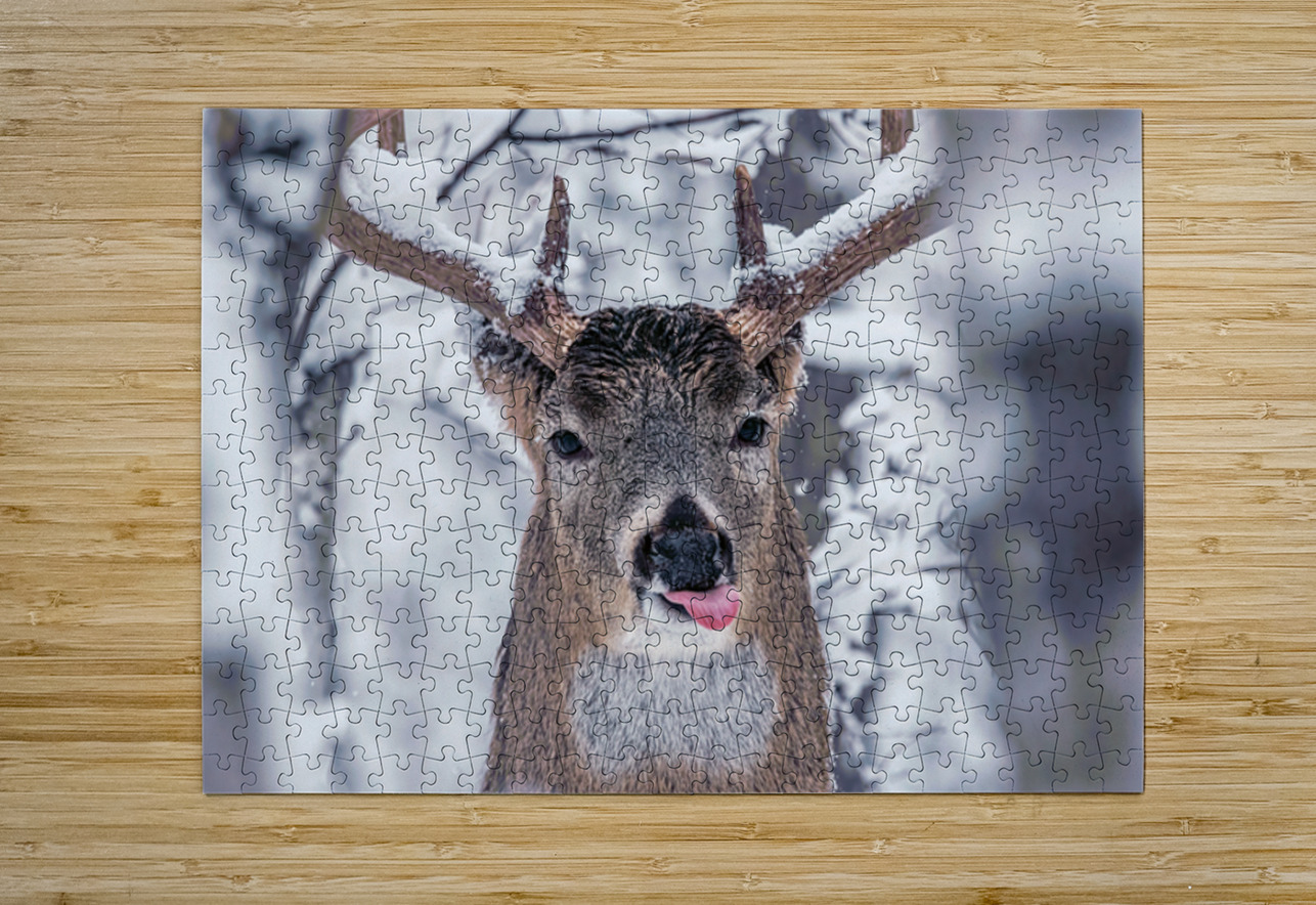 Buck Glancial Blue Ilana Vargulich Puzzle printing