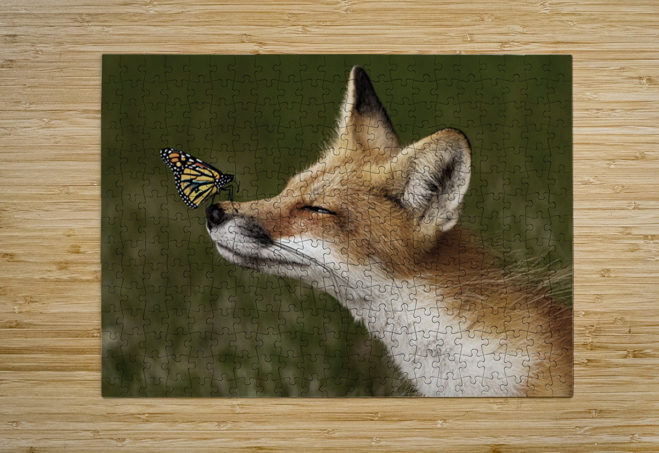 Red Fox with Butterfly Ilana Vargulich Puzzle printing