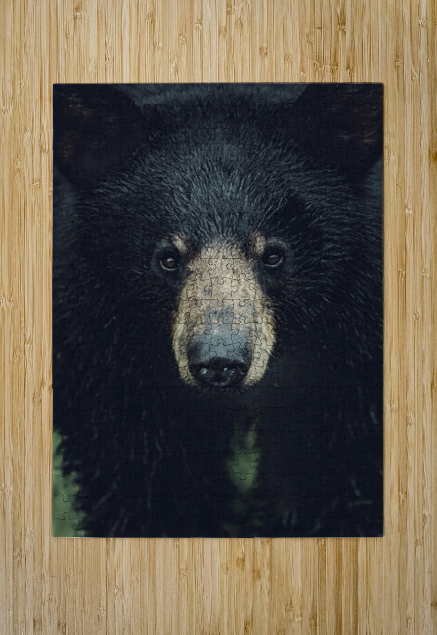 Wild Bear Futuristic Ilana Vargulich Puzzle printing