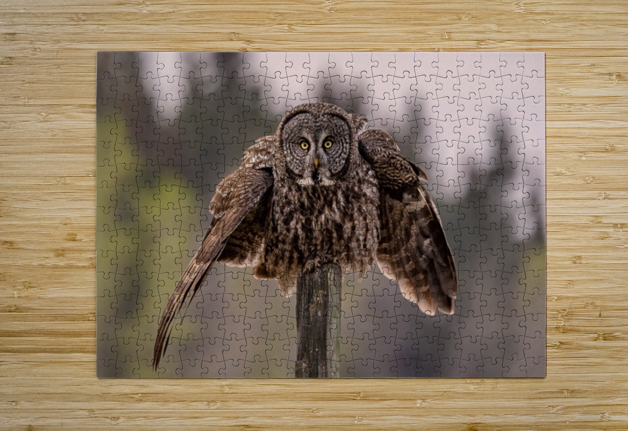 GGO 3 Ilana Vargulich Puzzle printing