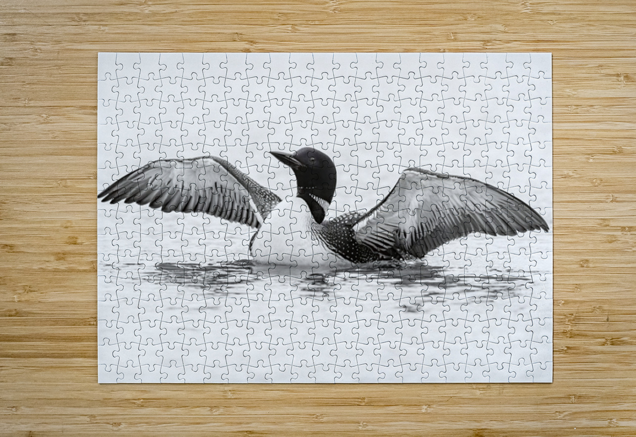 Loon BW Ilana Vargulich Puzzle printing