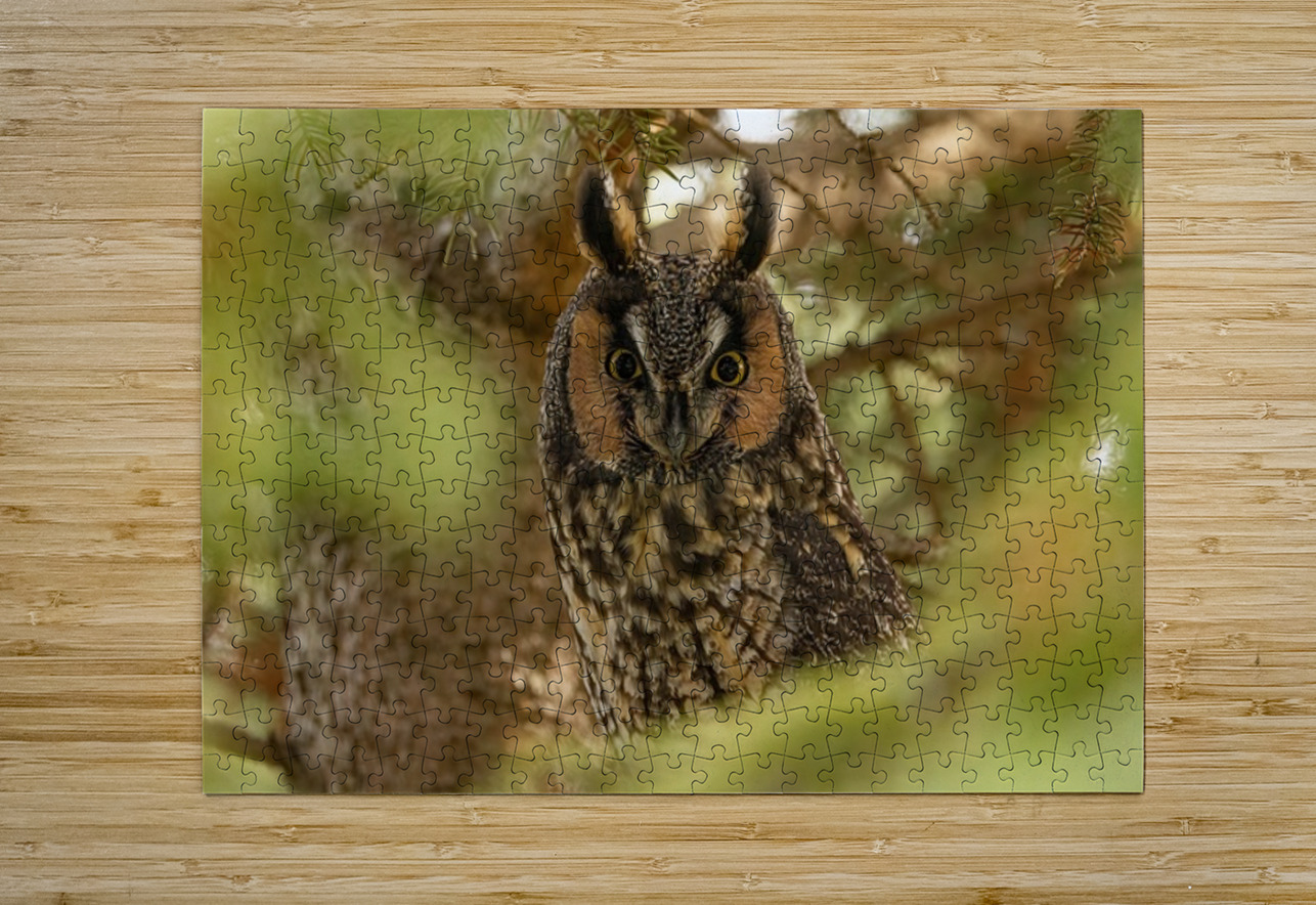 LEO Portrait Ilana Vargulich Puzzle printing