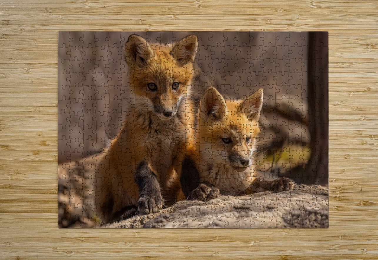 Red Fox Kits Ilana Vargulich Puzzle printing