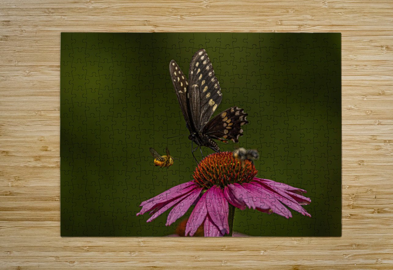 Flower Story Ilana Vargulich Puzzle printing