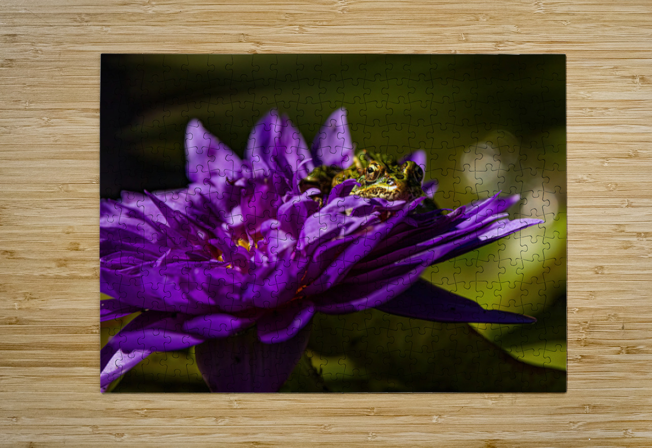 Flower Story 2 Ilana Vargulich Puzzle printing