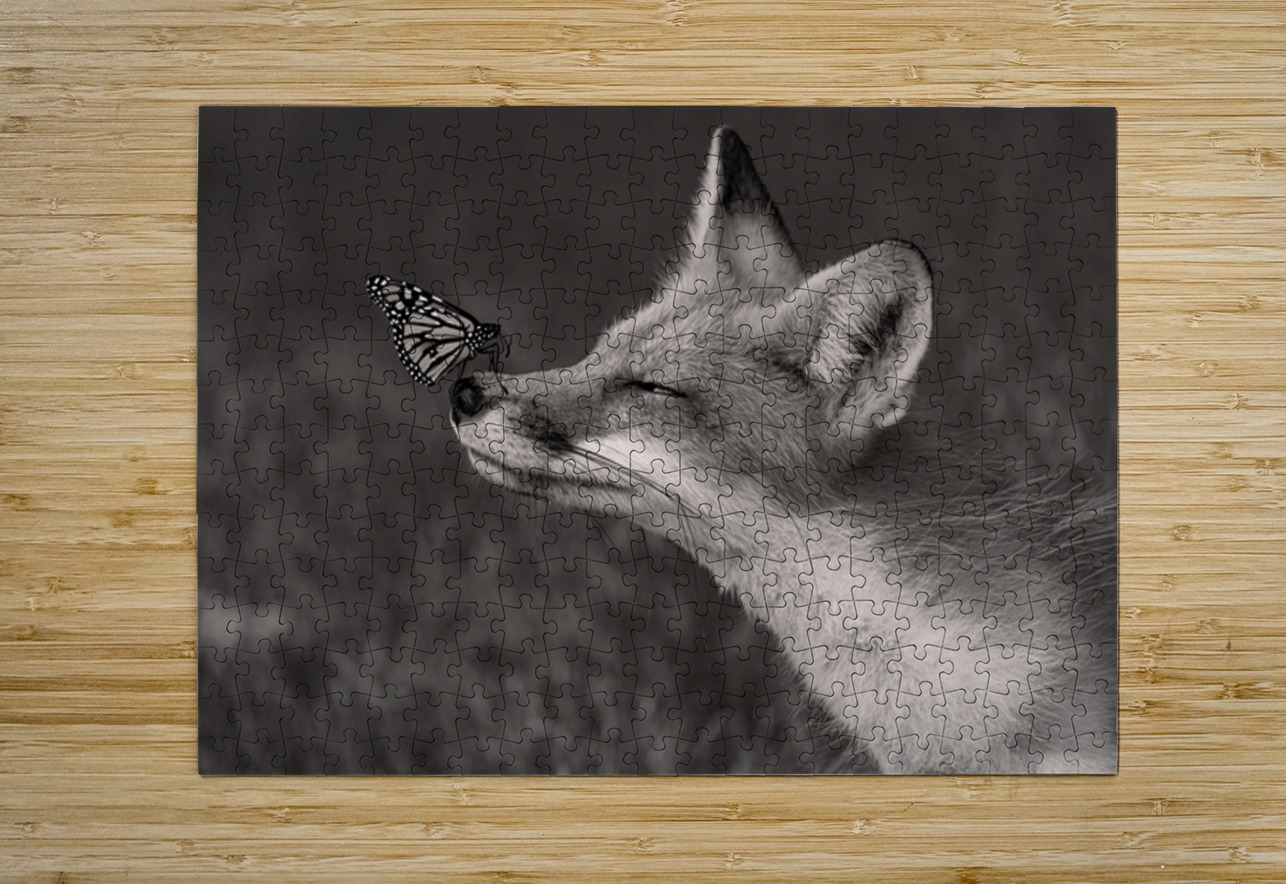 Red Fox with Butterfly BW Ilana Vargulich Puzzle printing