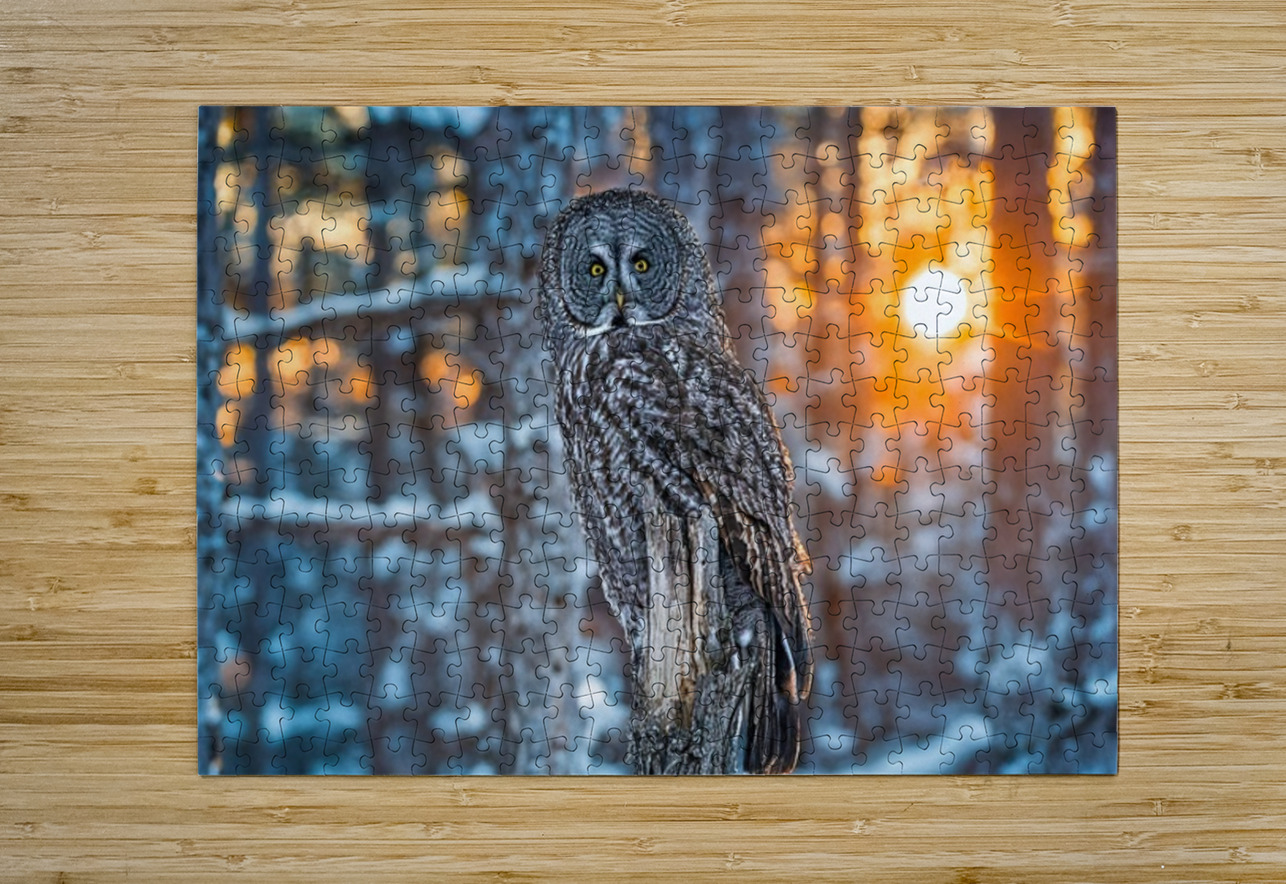 GGO 4 Ilana Vargulich Puzzle printing