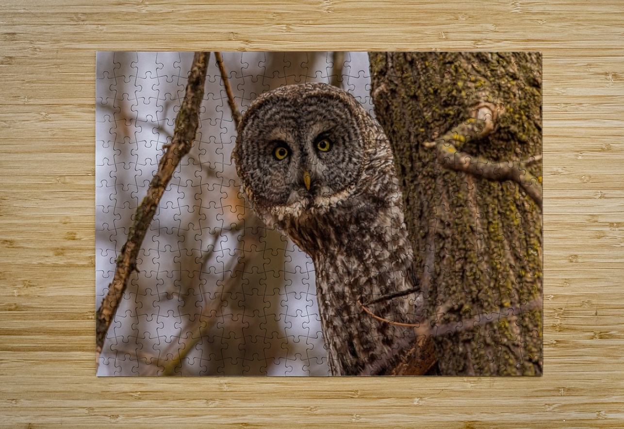 GGO 5 Peekaboo Ilana Vargulich Puzzle printing