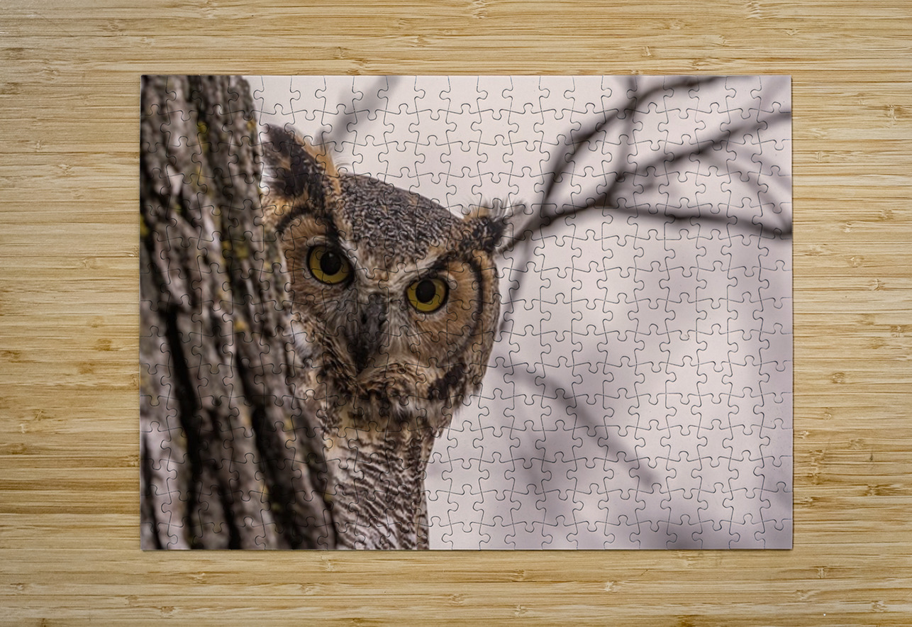 GHO Peekaboo Ilana Vargulich Puzzle printing