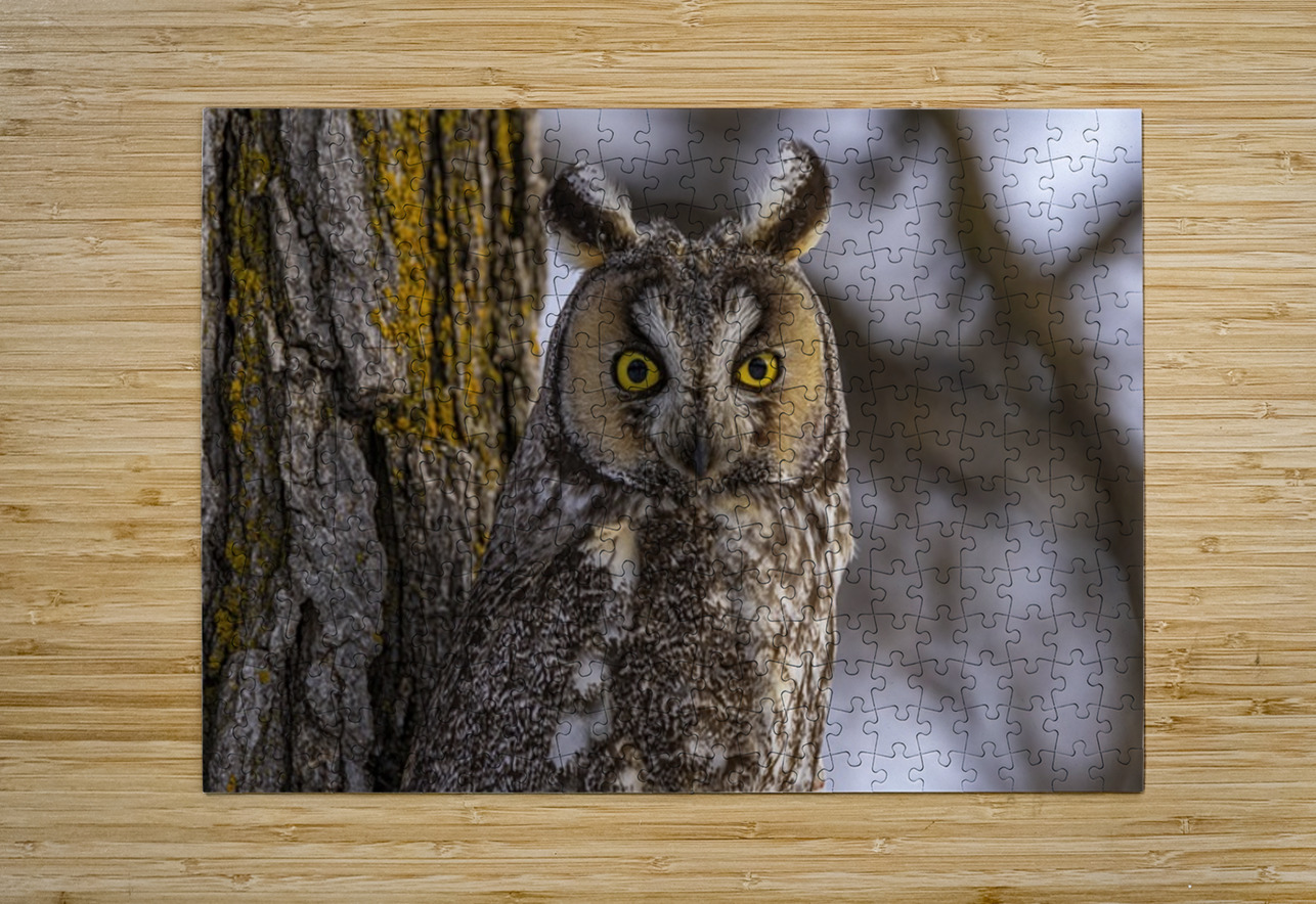 LEO Ilana Vargulich Puzzle printing