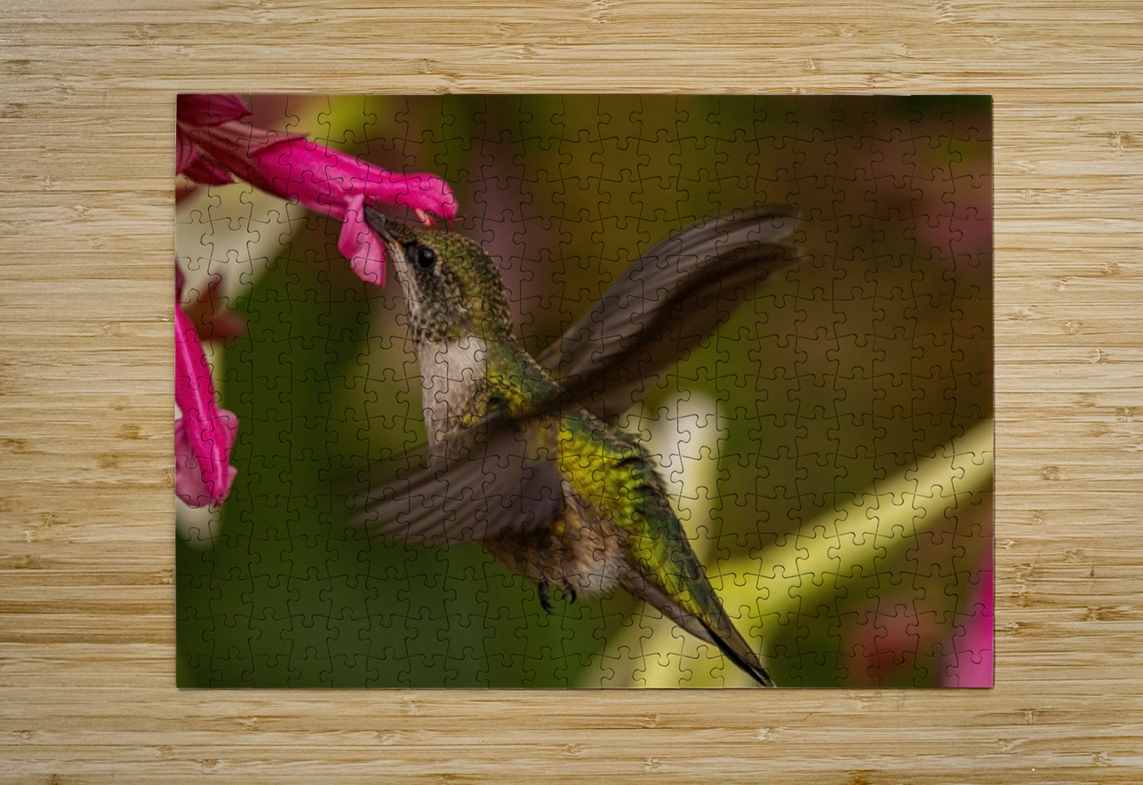 Hummingbird 2 Ilana Vargulich Puzzle printing