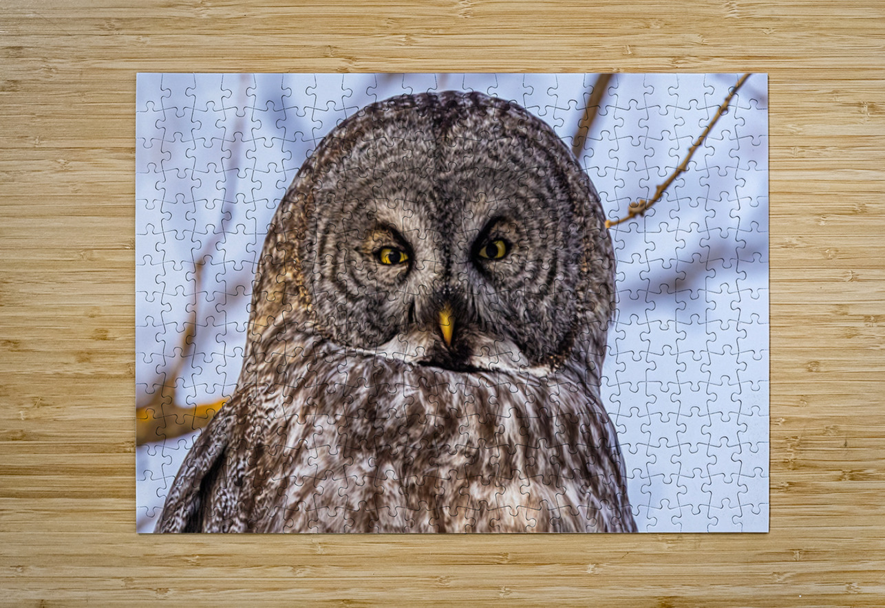 GGO 6 Ilana Vargulich Puzzle printing