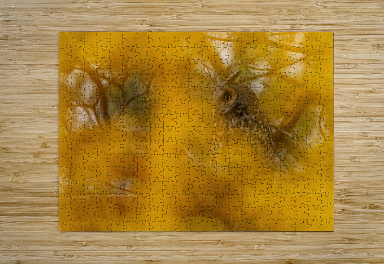 LEO Fall Time Ilana Vargulich Puzzle printing