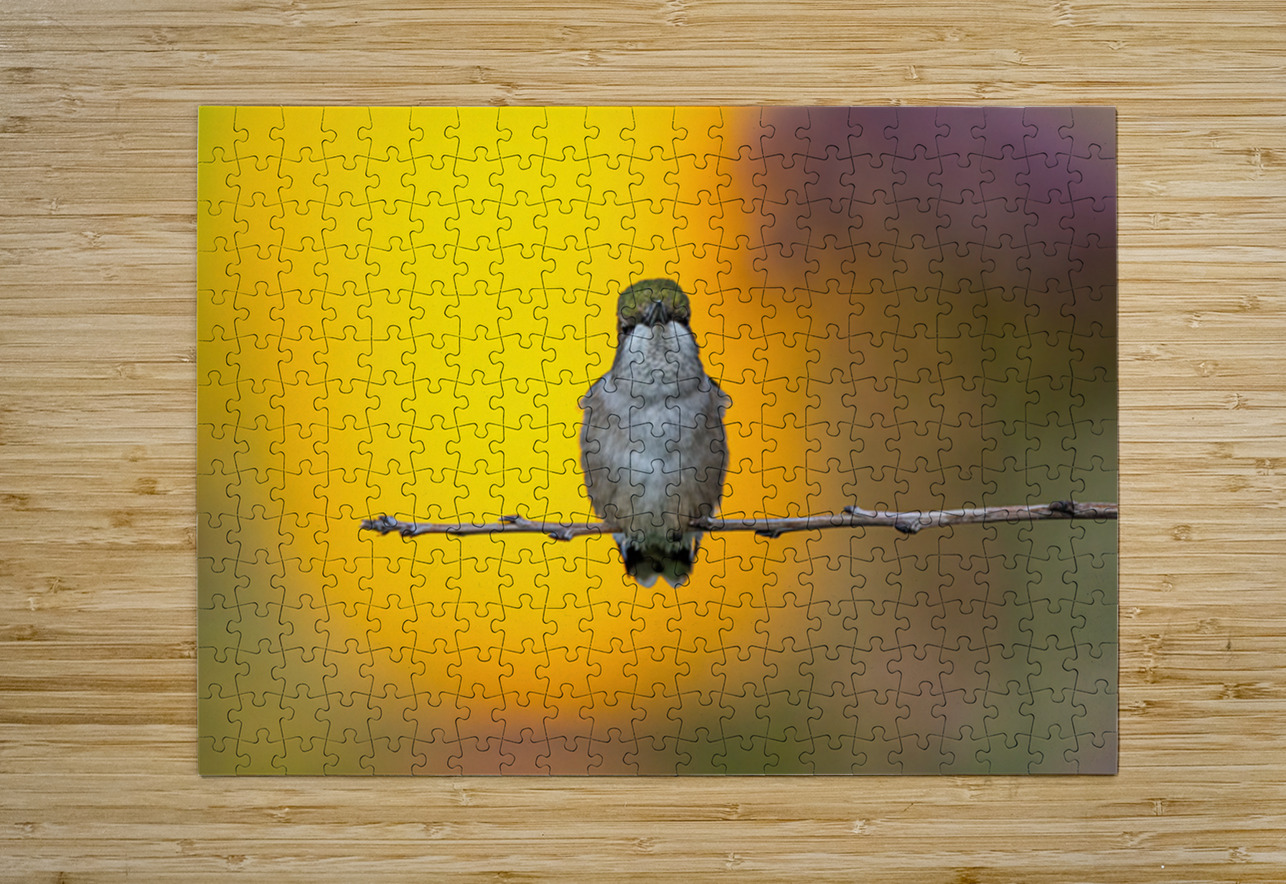 Hummingbird 4 Ilana Vargulich Puzzle printing