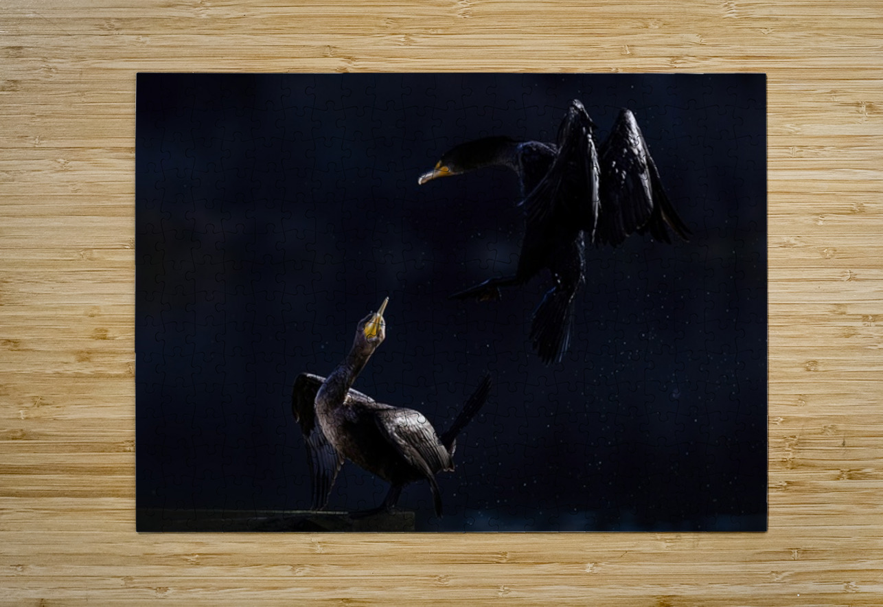 Double Cormorant Ilana Vargulich Puzzle printing
