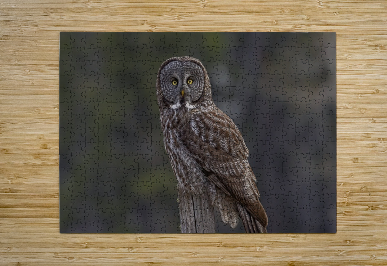 GGO 7 Ilana Vargulich Puzzle printing