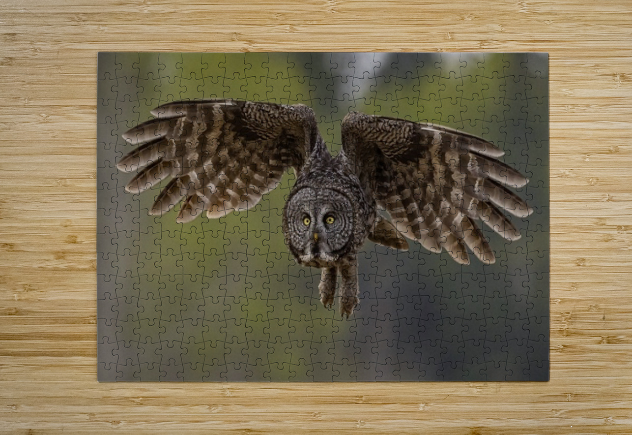 GGO 9 Ilana Vargulich Puzzle printing