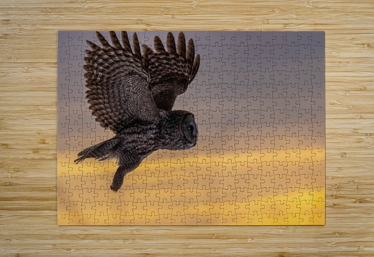 GGO 10 Ilana Vargulich Puzzle printing