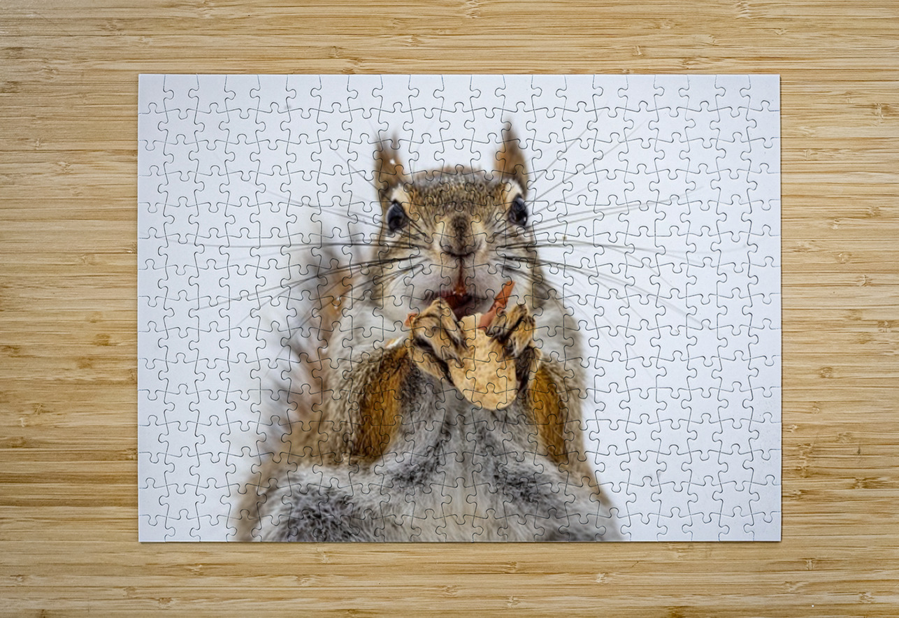 Red Squirrel Ilana Vargulich Puzzle printing