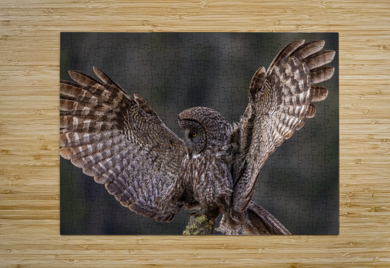 GGO 11 Ilana Vargulich Puzzle printing