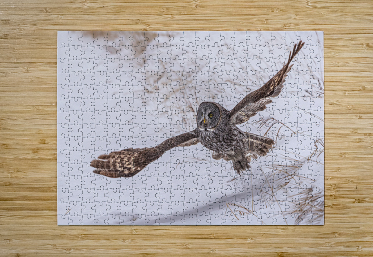 GGO 12 Ilana Vargulich Puzzle printing