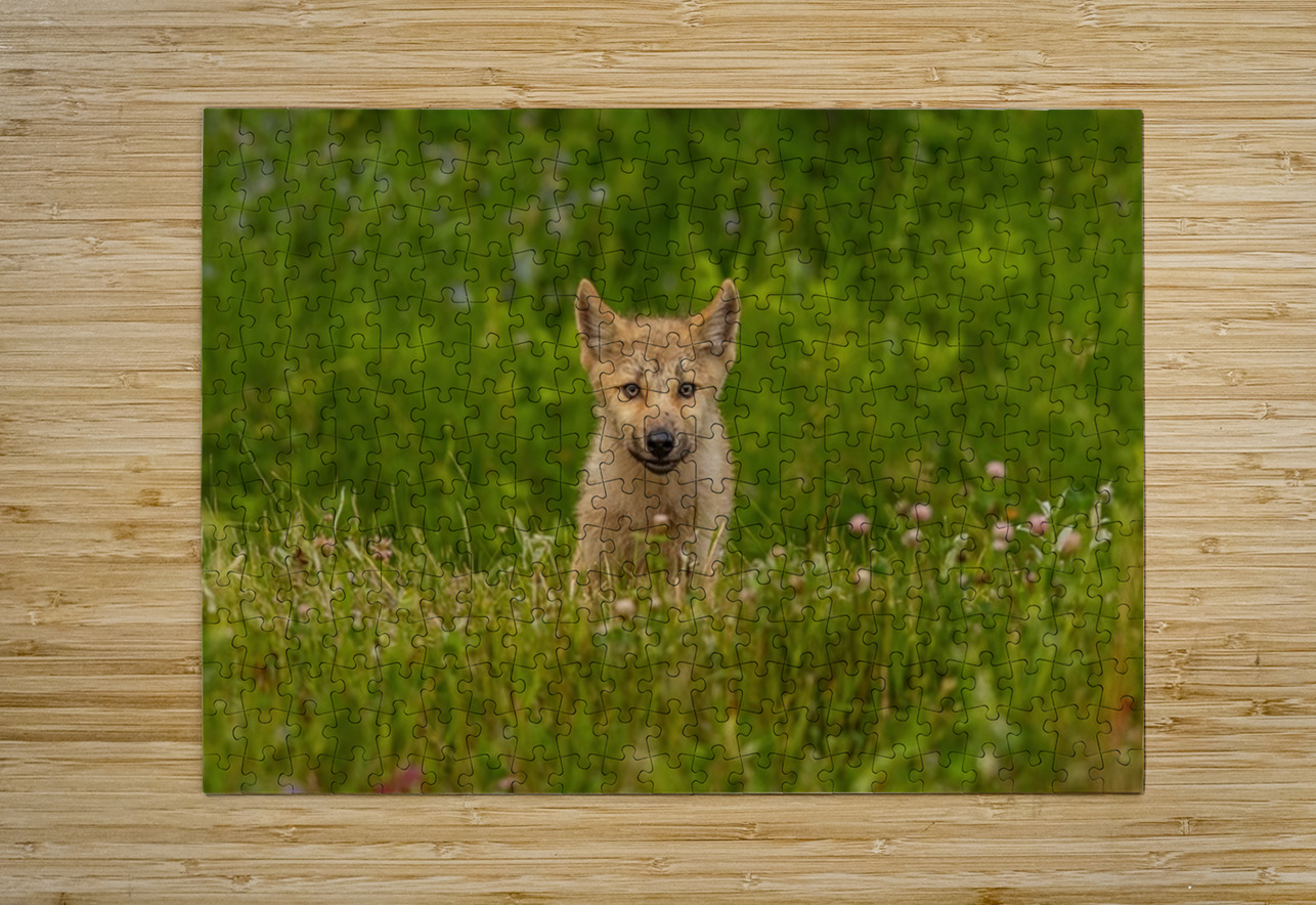 Wolf Pup Ilana Vargulich Puzzle printing