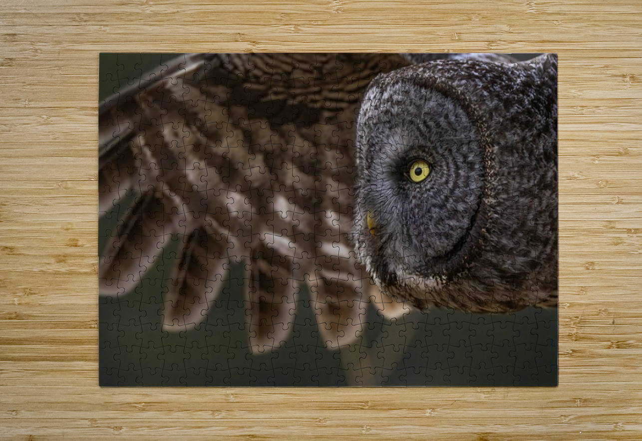 GGO 13 Ilana Vargulich Puzzle printing