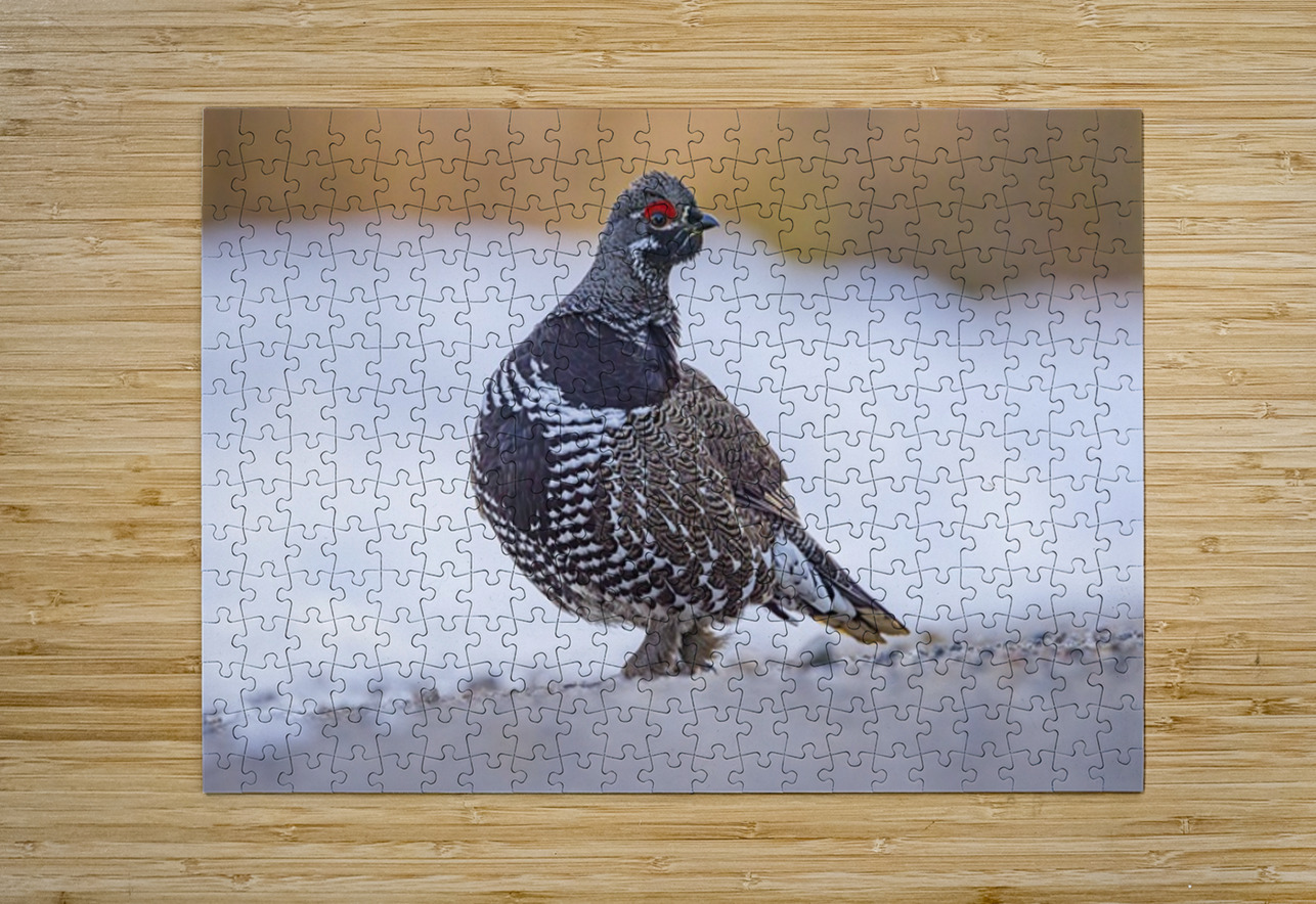 Spruce Grouse Ilana Vargulich Puzzle printing