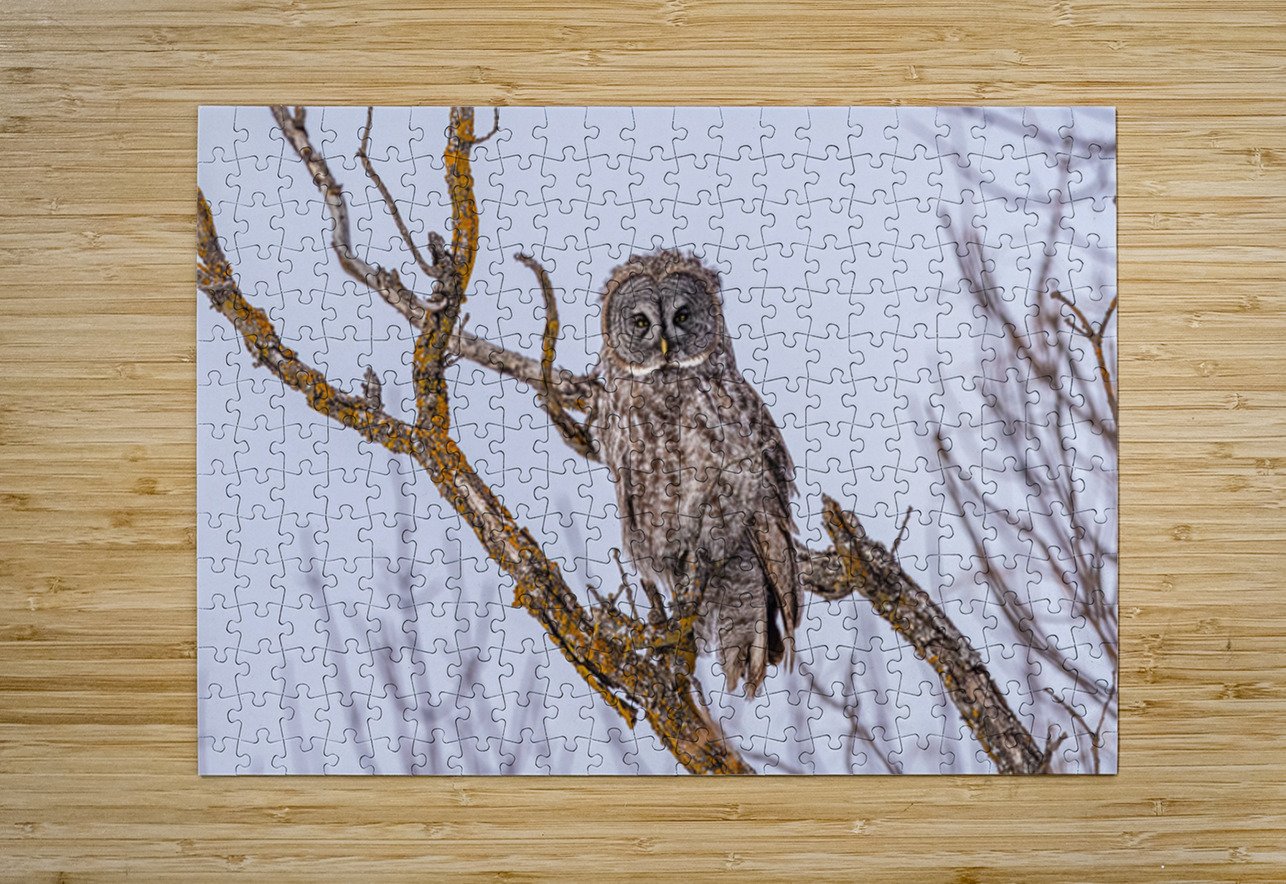 GGO 14 Ilana Vargulich Puzzle printing