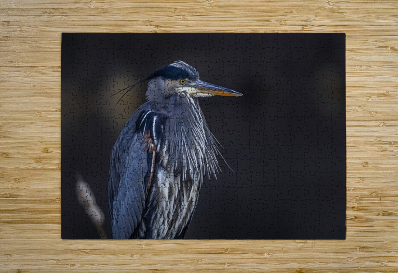 Blue Heron Ilana Vargulich Puzzle printing