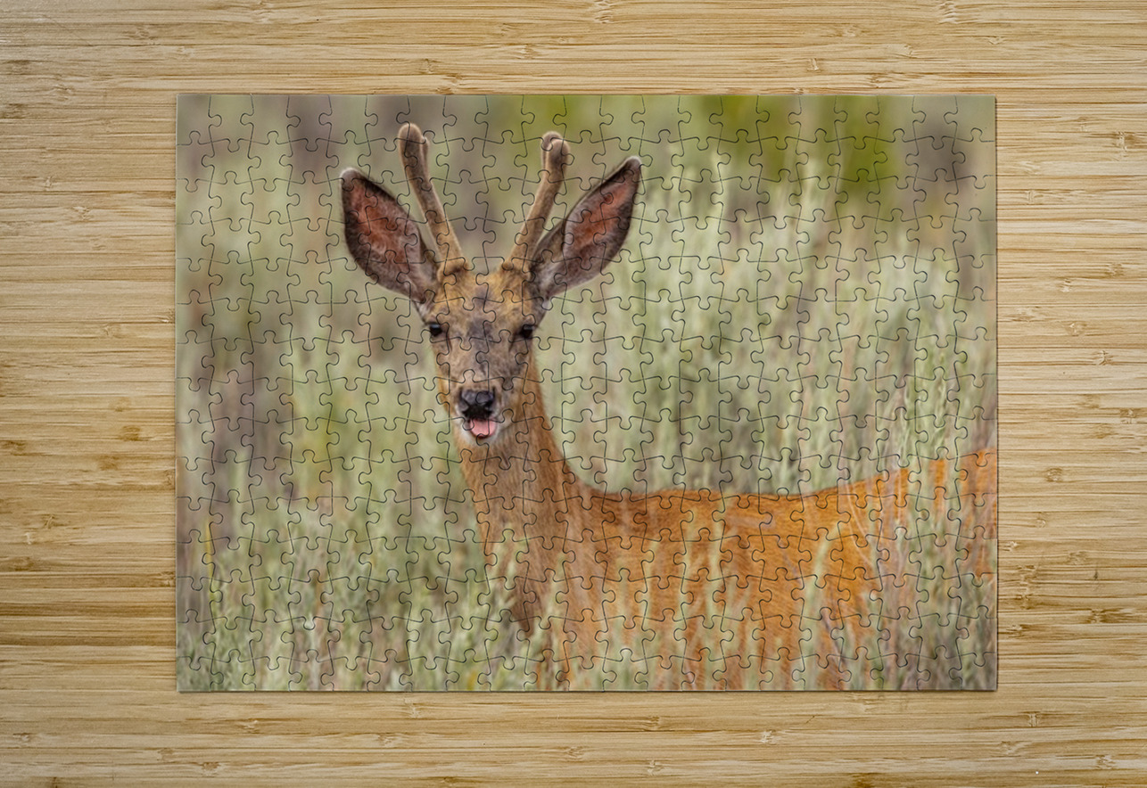 Buck 2 Ilana Vargulich Puzzle printing