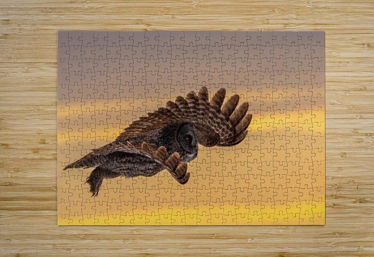 GGO 15 Ilana Vargulich Puzzle printing