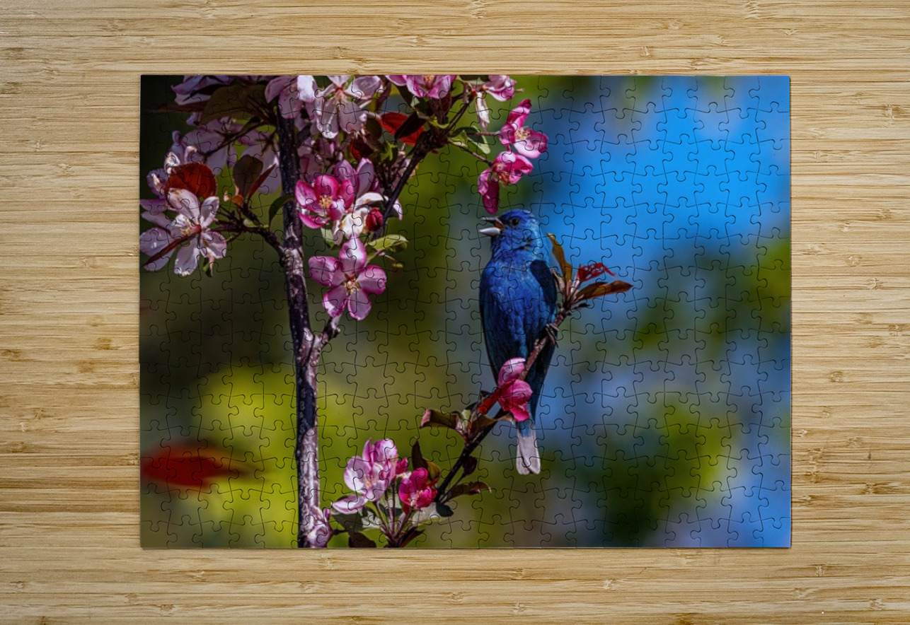 Indigo Ilana Vargulich Puzzle printing