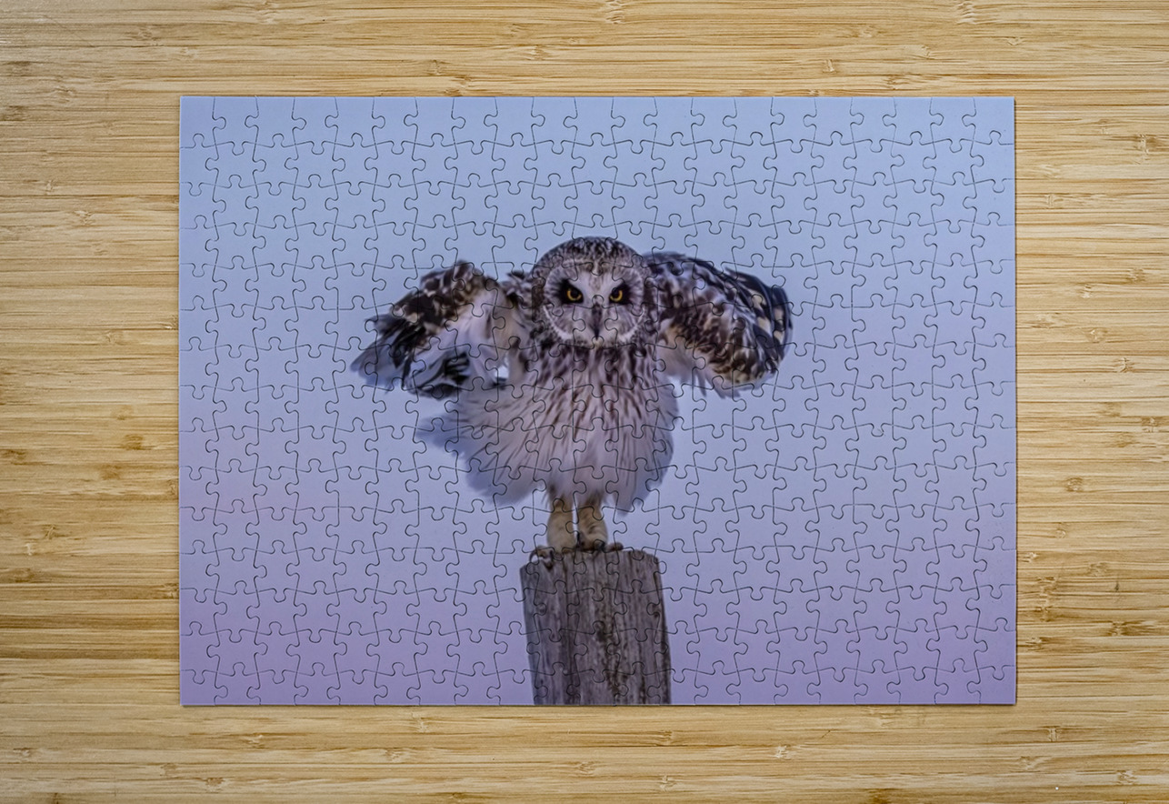 SEO 2 Ilana Vargulich Puzzle printing