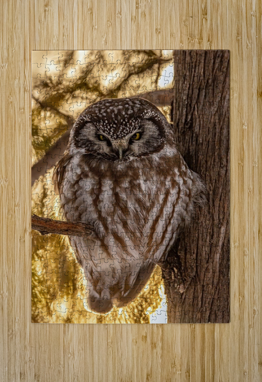 Boreal Owl Ilana Vargulich Puzzle printing
