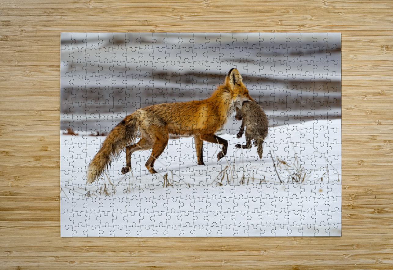 Baby Fox Story Ilana Vargulich Puzzle printing