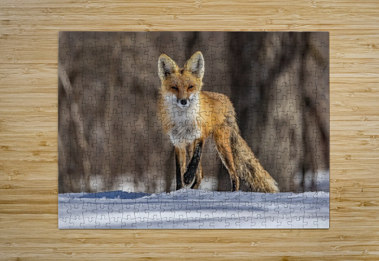 Red Fox Mother Ilana Vargulich Puzzle printing